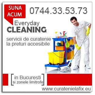 Everyday Cleaning - Servicii curatenie